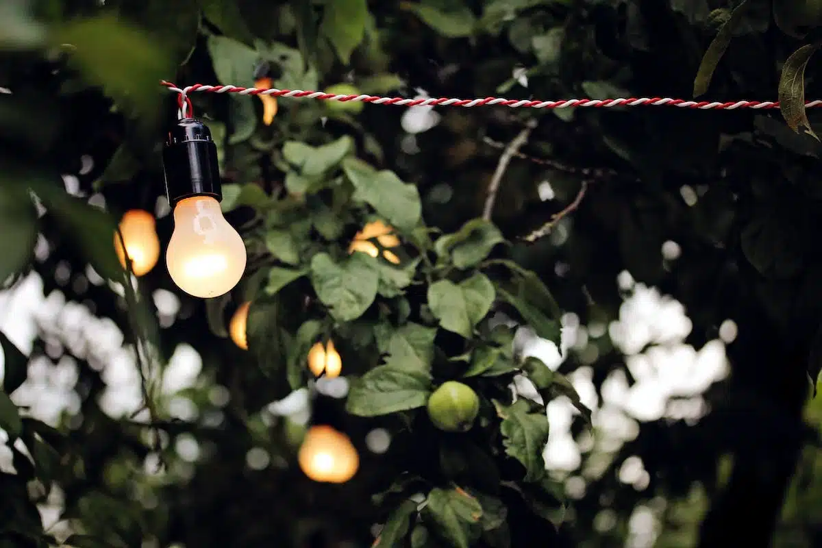 lanternes jardin