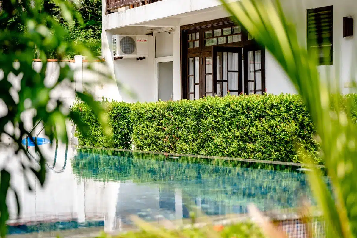 piscine plantes